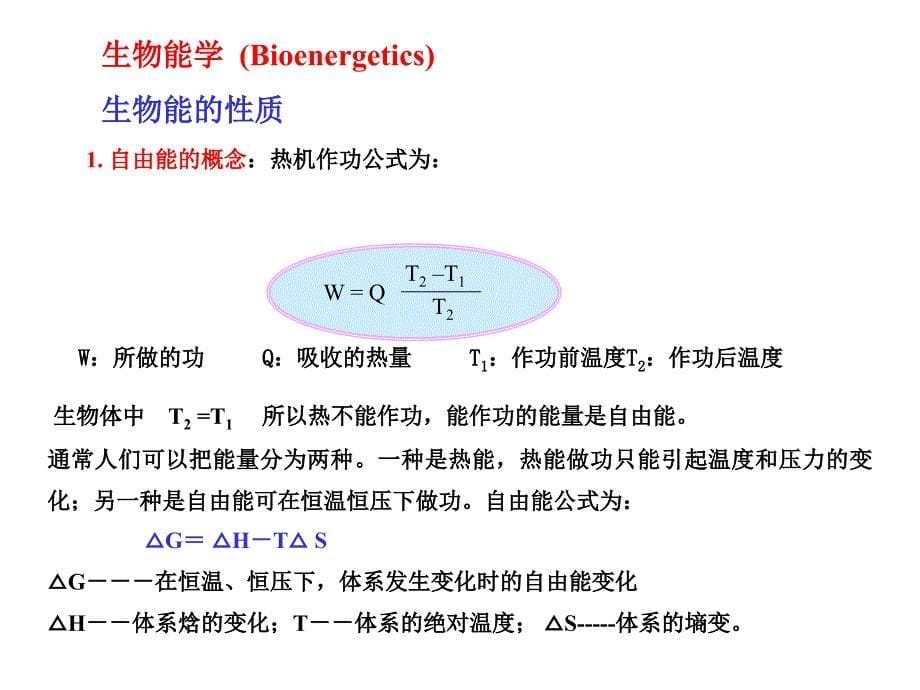 第五章新陈代谢总论与生物氧化_第5页