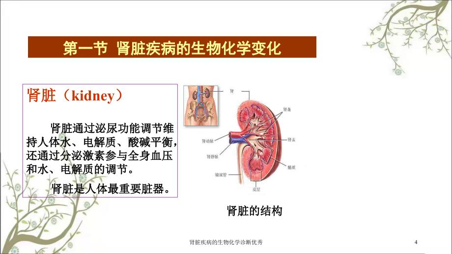 肾脏疾病的生物化学诊断优秀_第4页