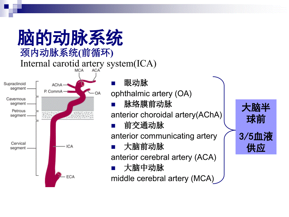 医院神经内科脑梗死专题讲座PPT_第4页