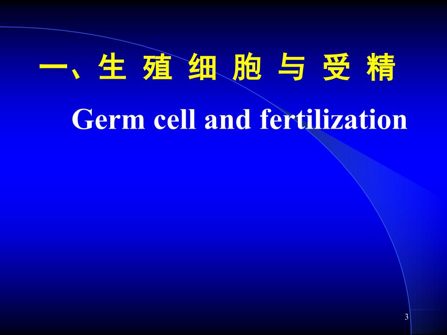 胚胎学总论课件_第3页