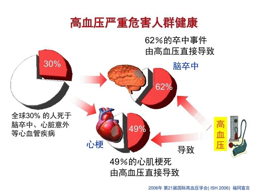 重要资料诺华倍博特高血压市场_第5页