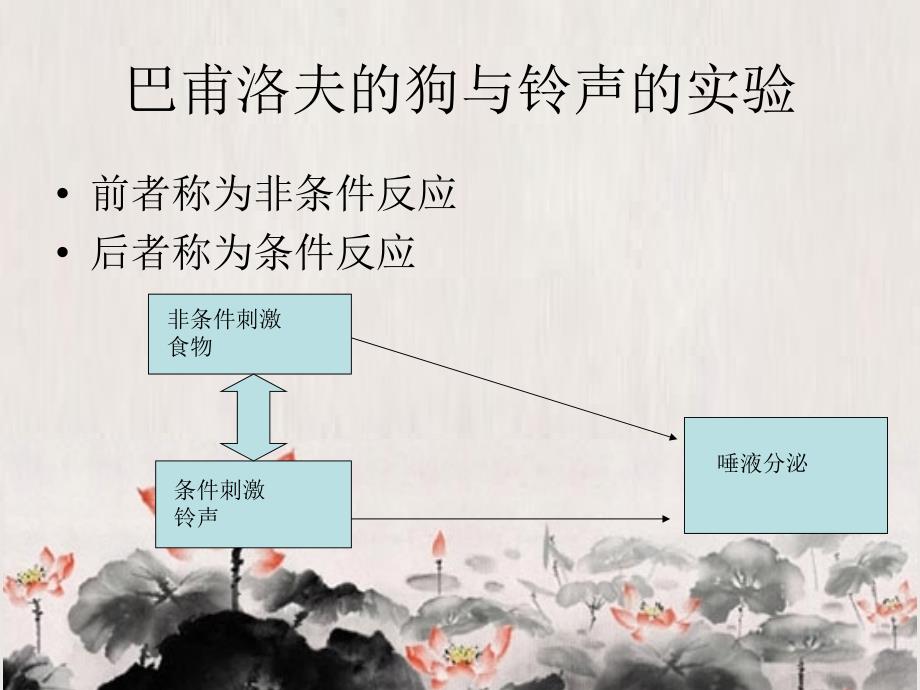 经典性条件反射与操作性条件反射对adidas产品宣传方案.ppt_第4页