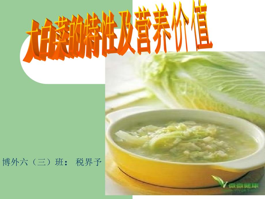 大白菜的特性及营养价值_第1页