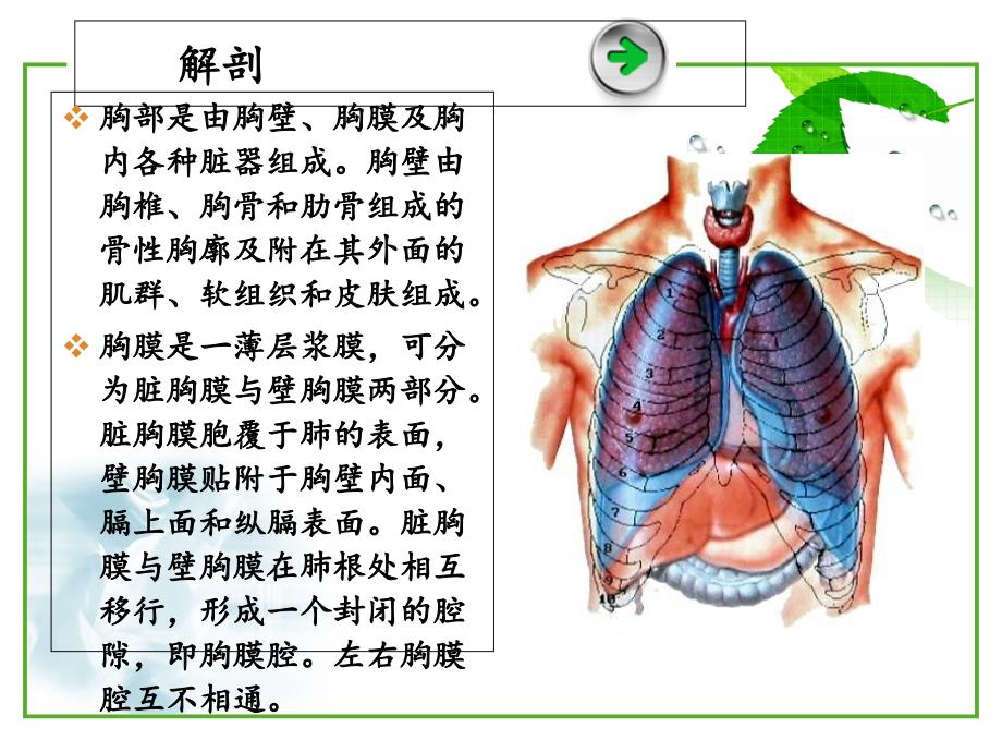 血气胸病人护理ppt课件_第2页