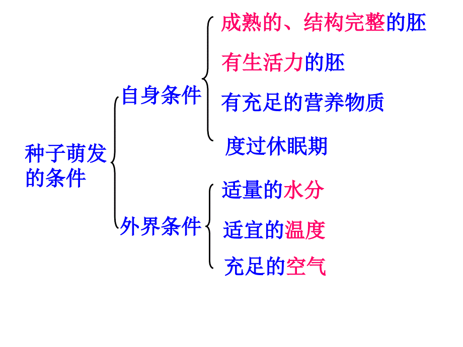 营养器官的生长 (2)_第2页