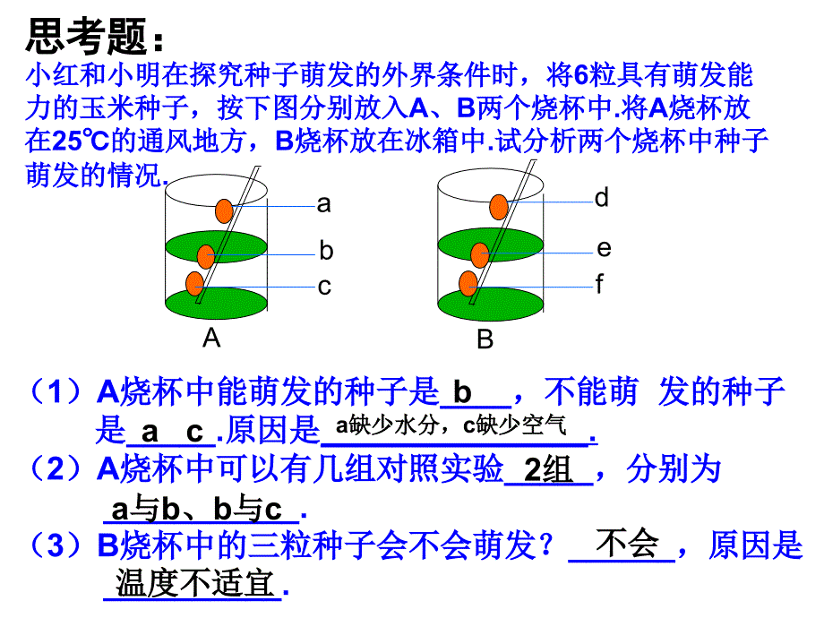 营养器官的生长 (2)_第3页