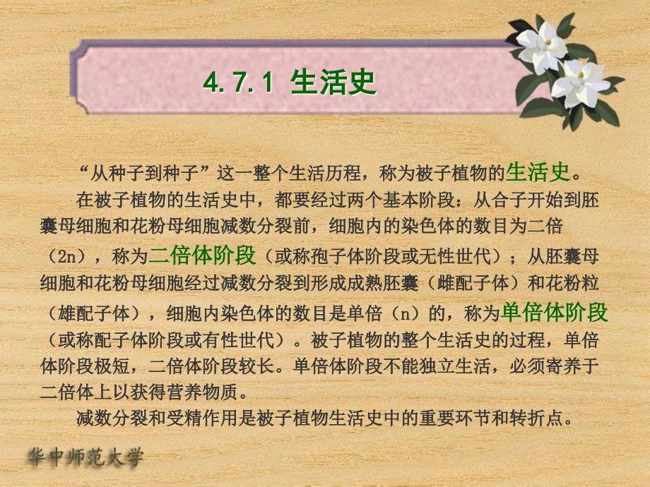 被子植物的生活史.ppt_第3页