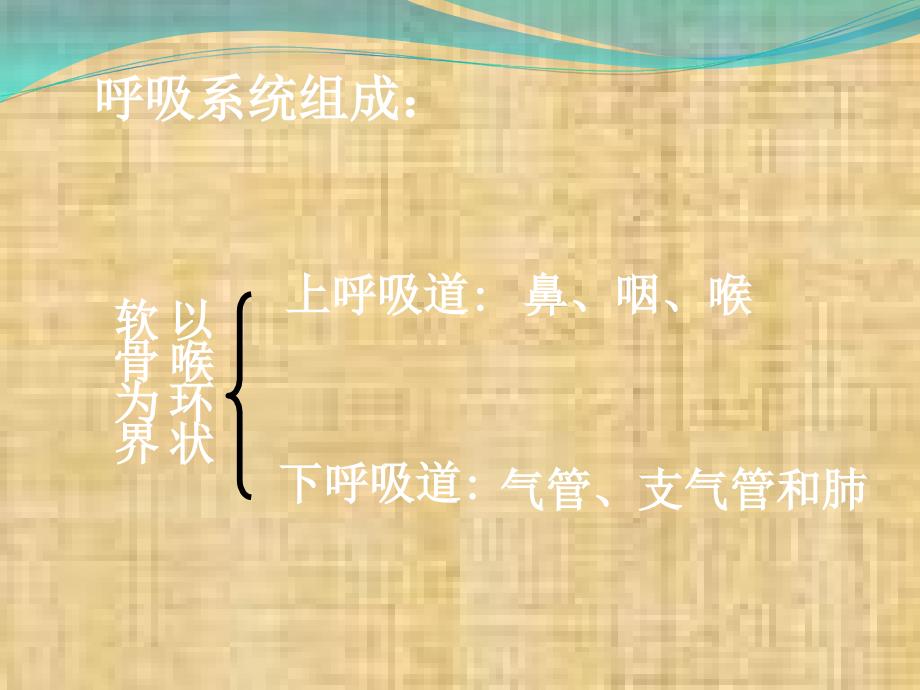 病理学课件——肺炎_第4页