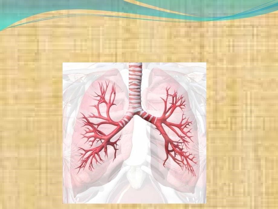 病理学课件——肺炎_第5页