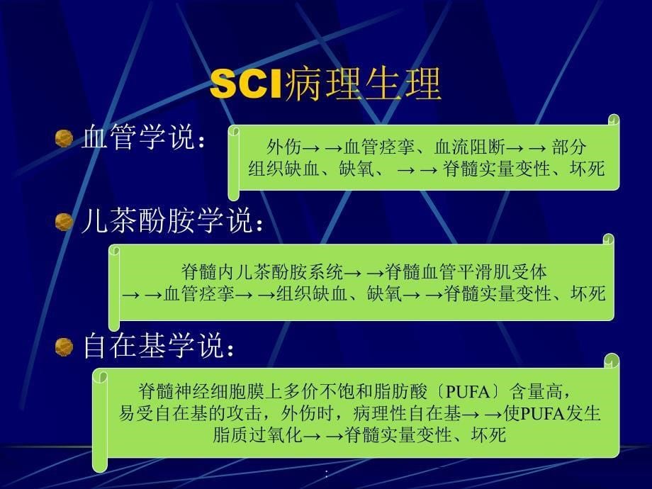 脊髓损伤康复spinalcordinjurySCIppt课件_第5页