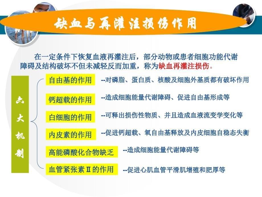 急性脑梗塞的病理生理与治策略_第5页