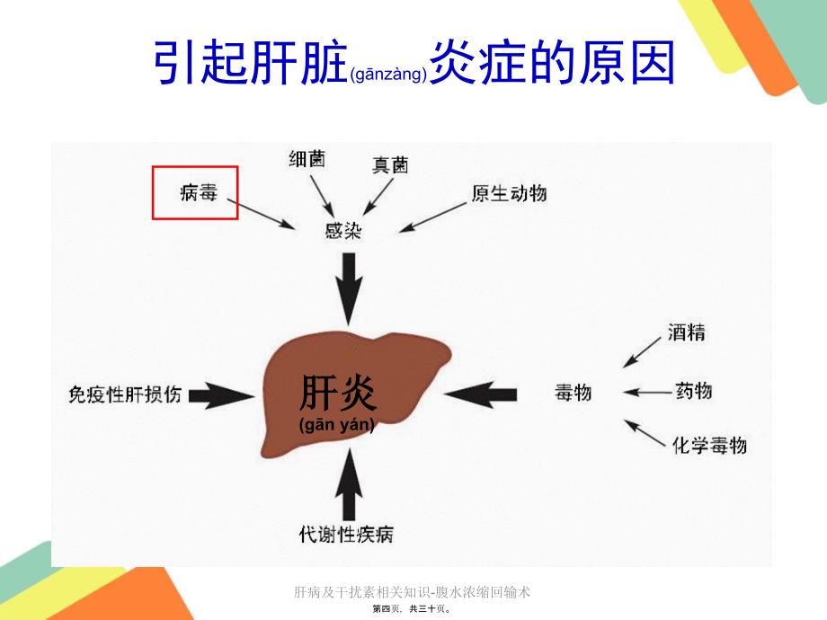 肝病及干扰素相关知识腹水浓缩回输术课件_第4页