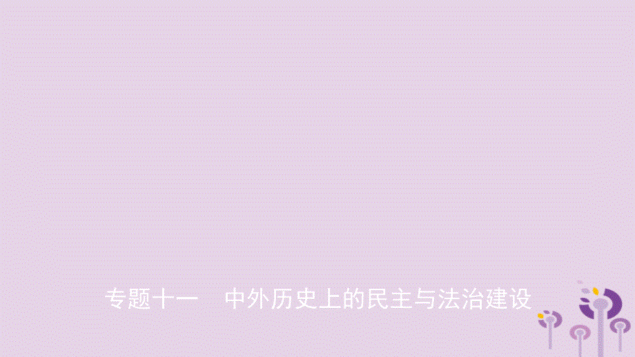 中考历史复习题型突破专题十一中外历史上的民主与法治建设课件_第1页
