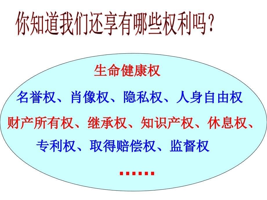 第二课时我们享有广泛的权利_第5页