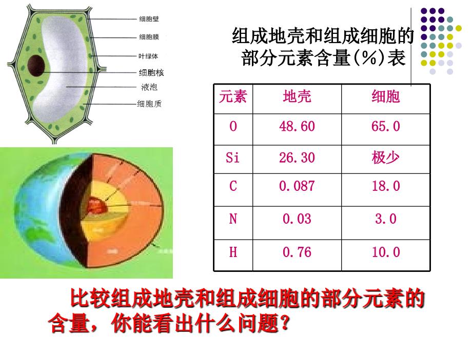 第二章组成细胞的分子_第3页