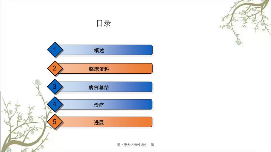 肾上腺大结节性增生一例_第2页