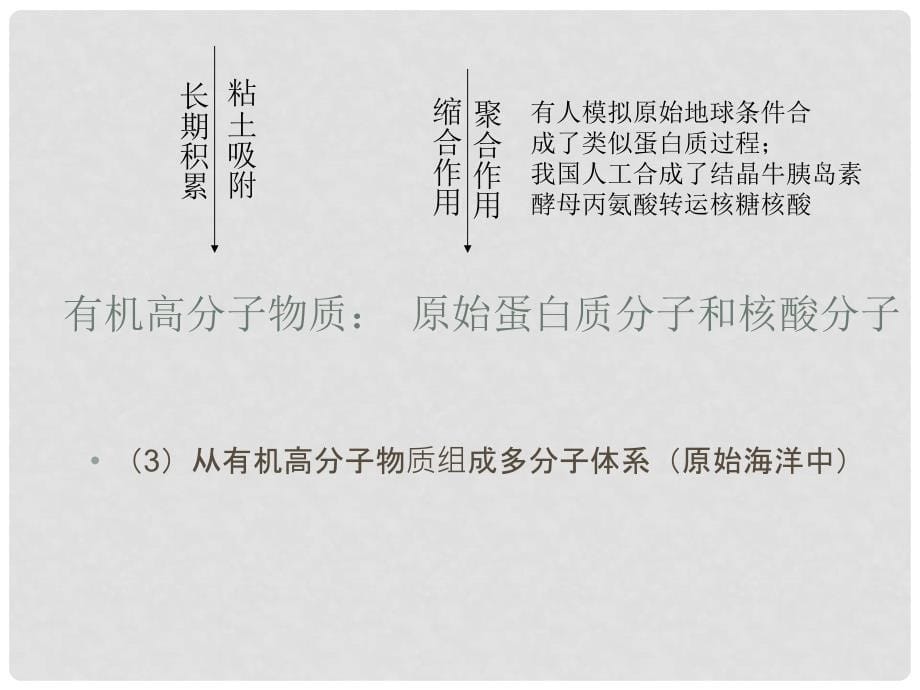 八年级生物下册 22.1《生命的起源》课件 苏科版_第5页