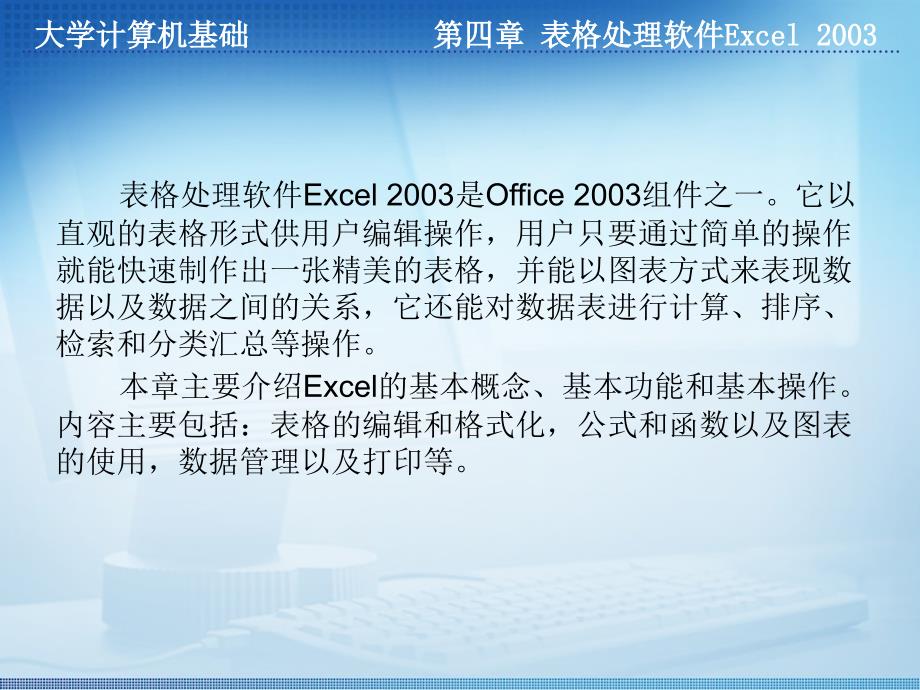 第四章 表格处理软件Excel 2003-精品文档资料整理_第2页