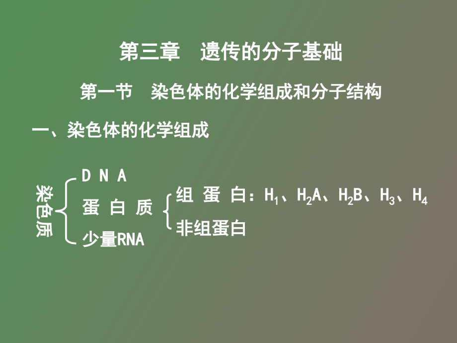 医学遗传学分子基础_第1页