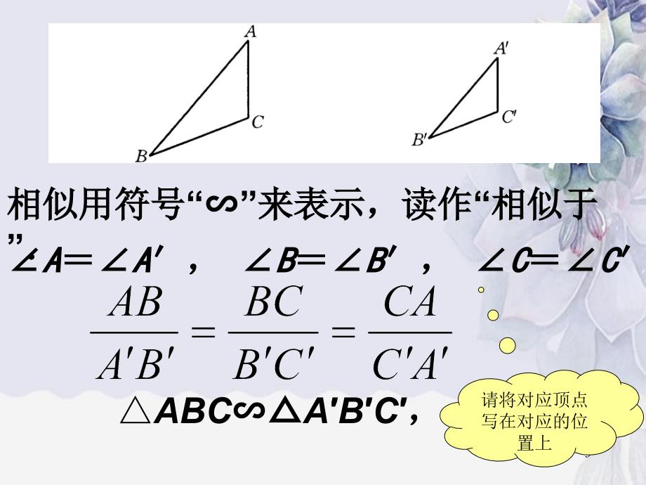 相似三角形相似三角形概念_第3页