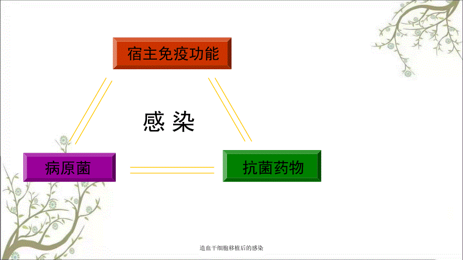 造血干细胞移植后的感染课件_第2页