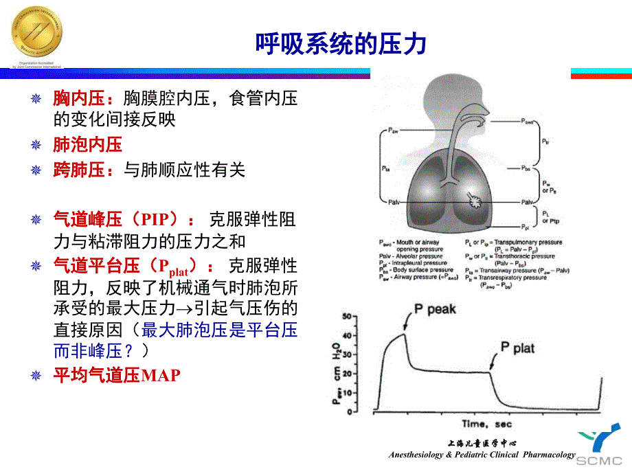 保护性肺通气儿童PPT课件_第4页