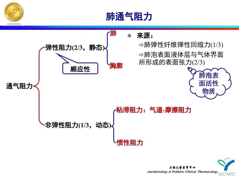 保护性肺通气儿童PPT课件_第5页