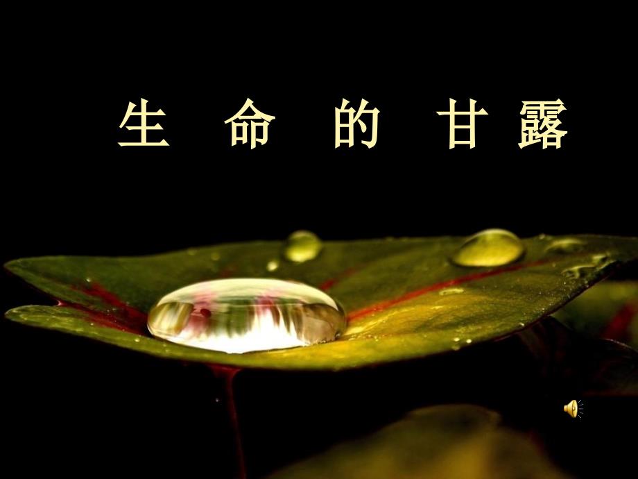 小学美术五年级下册生命的甘露课件_第1页