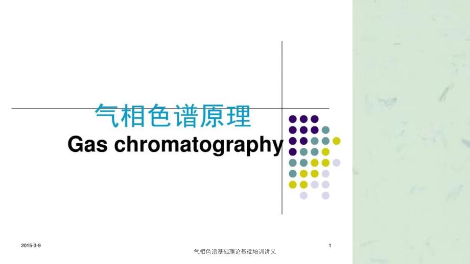 气相色谱基础理论基础培训讲义_第1页