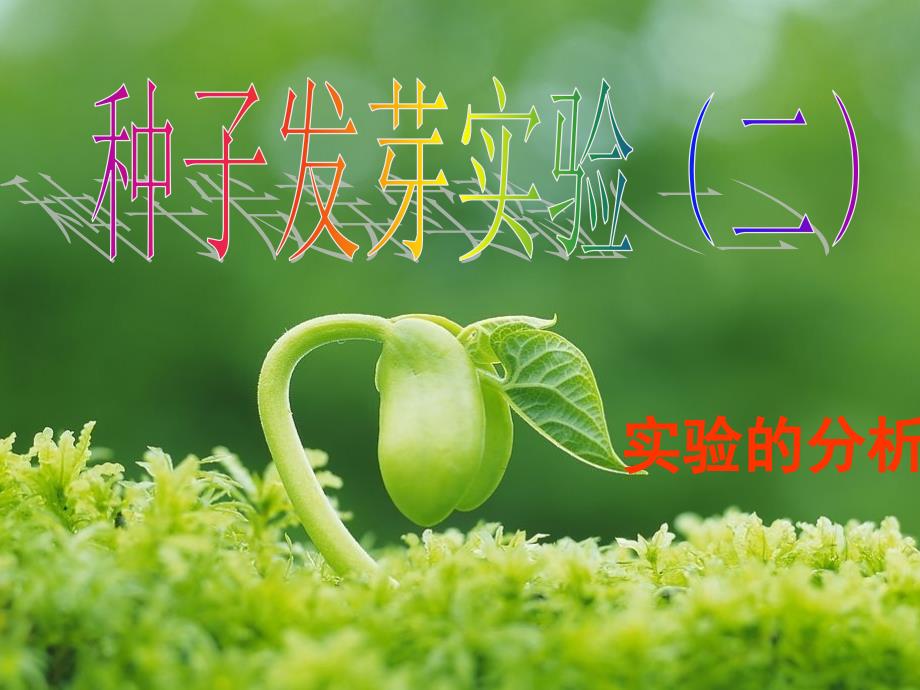 种子发芽实验(二)_第1页