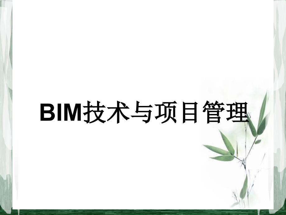 BIM技术与项目管理_第1页