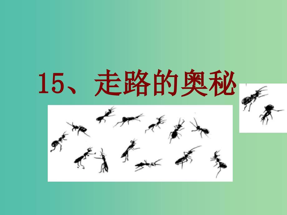 三年级语文上册走路的奥秘课件2沪教版_第2页