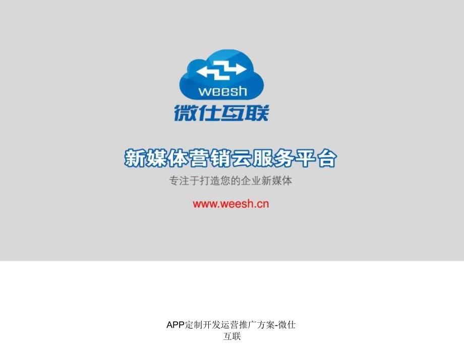 APP定制开发运营推广方案微仕互联课件_第1页