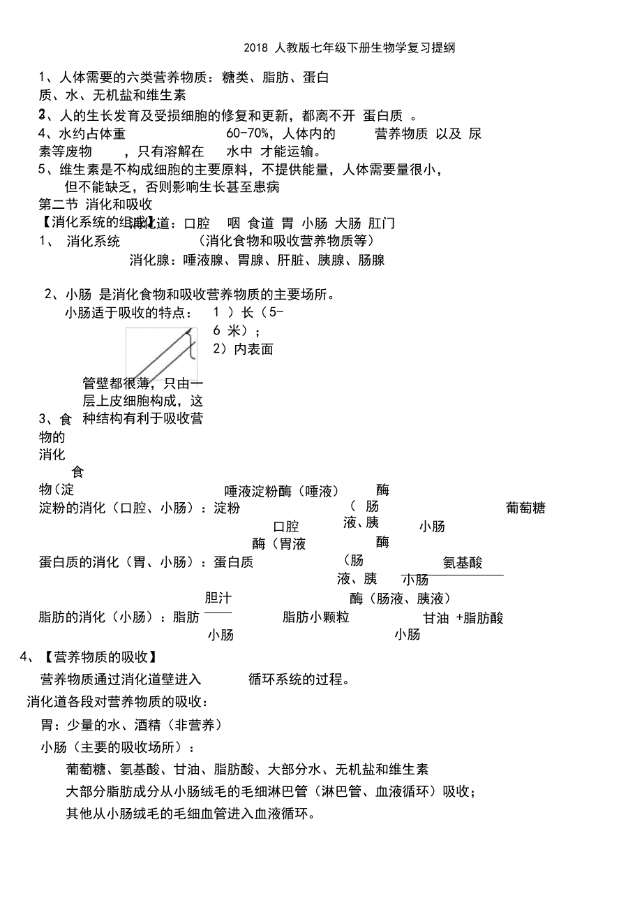 人教版七年级下册生物学复习提纲_第2页