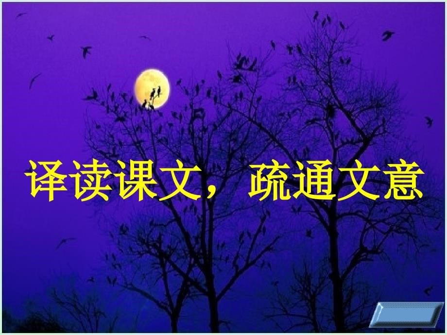 记承天寺夜_第5页