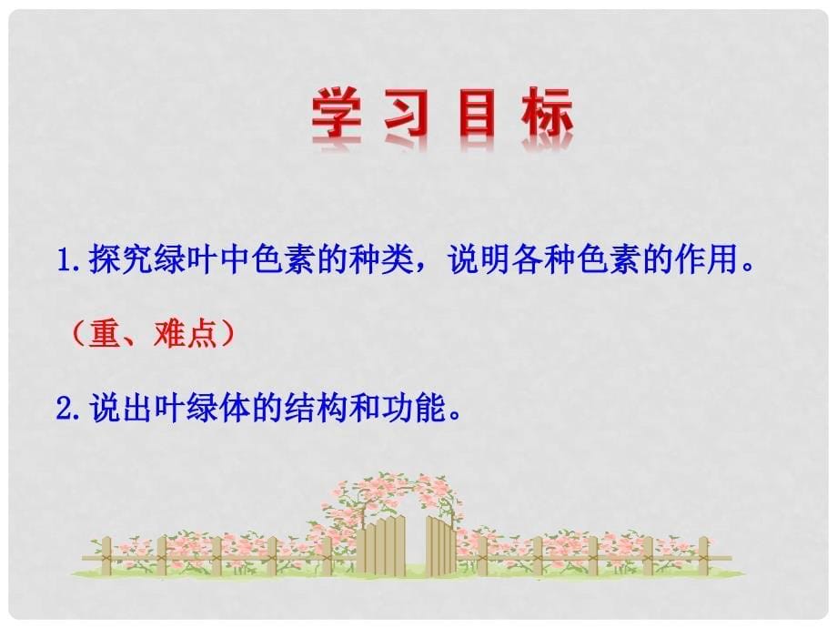 高中生物 一、捕获光能的色素和结构课件 新人教版必修1_第5页