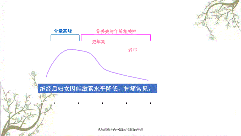 乳腺癌患者内分泌治疗期间的管理_第4页