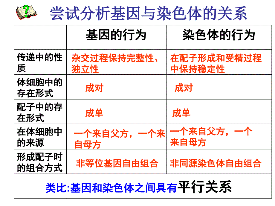 基因在染色体上演示文稿_第3页