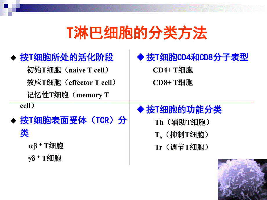 T淋巴细胞结果的解读全国会吴铁军_第2页