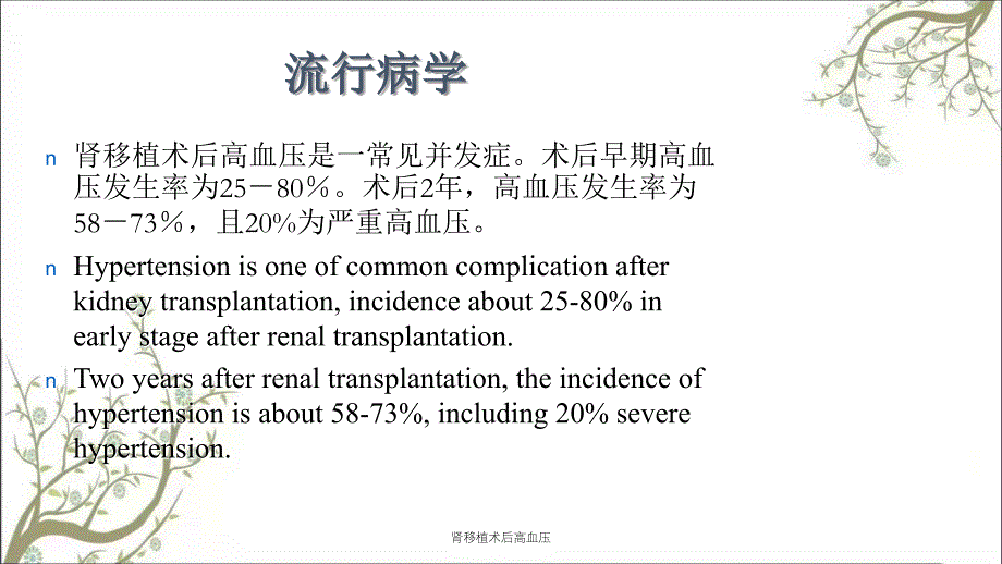 肾移植术后高血压课件_第2页