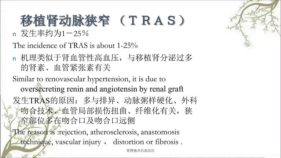 肾移植术后高血压课件_第5页