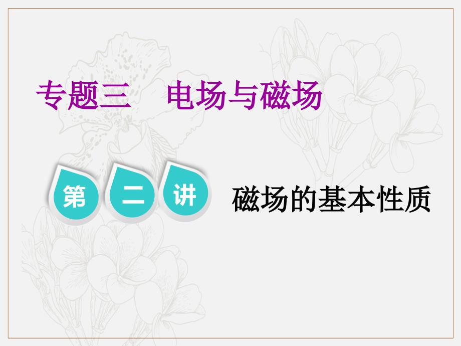 高考物理江苏专版二轮复习课件：专题三 第二讲 磁场的基本性质_第1页