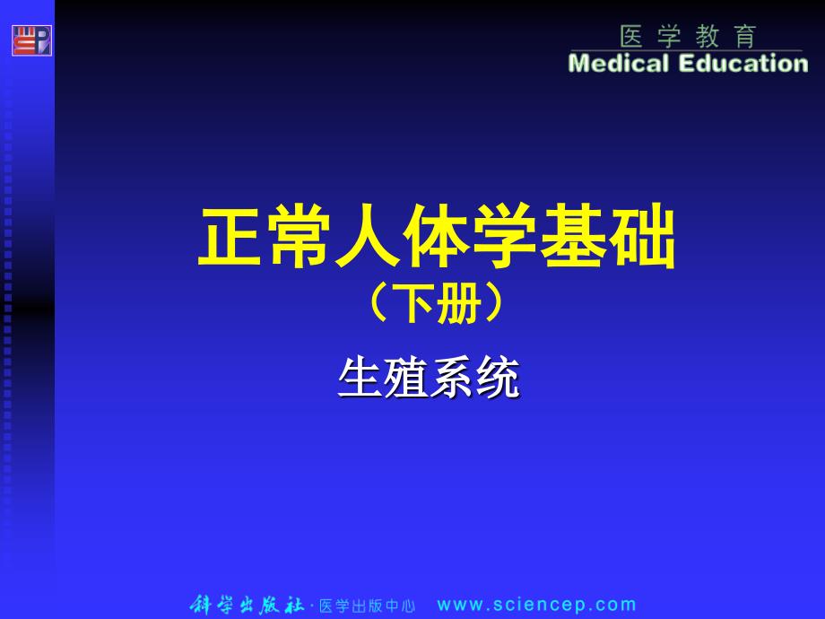 正常人体学基础课件：第11章 生殖系统_第1页