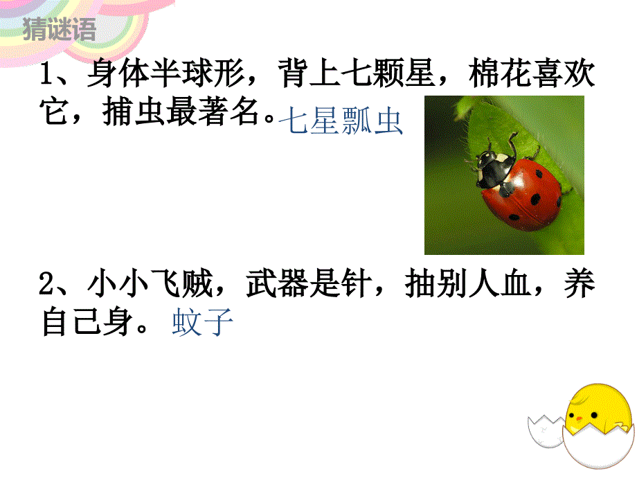 三年级上册科学课件－2.1寻访小动物｜教科版　 (共51张PPT)_第2页