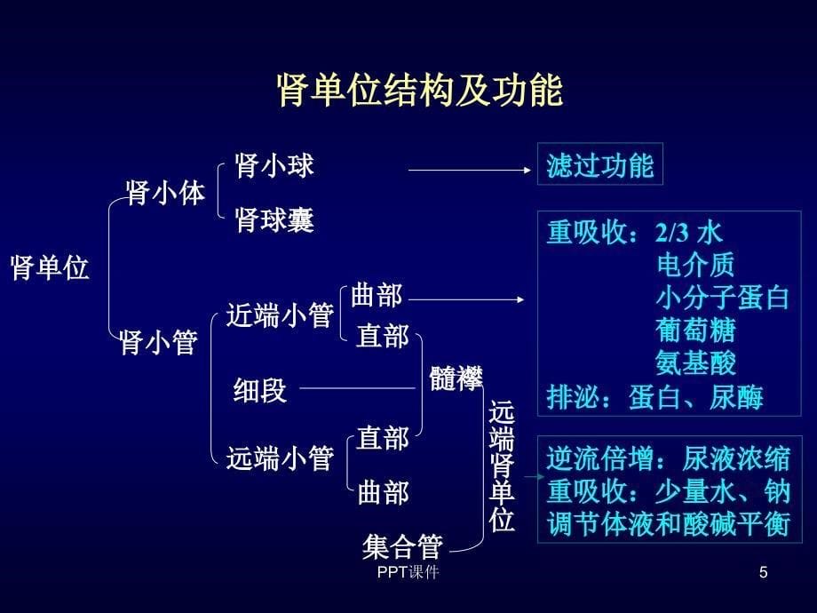 慢性肾功能不全--课件_第5页