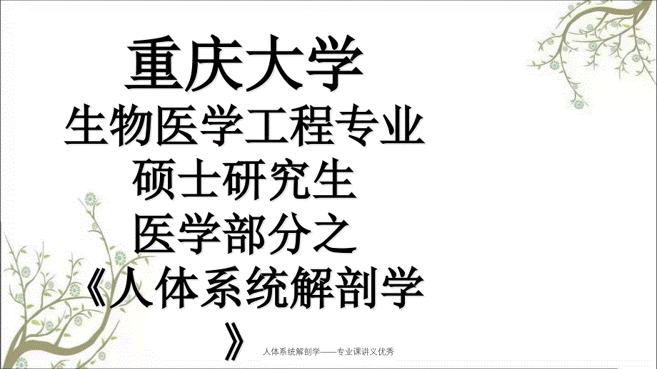 人体系统解剖学专业课讲义优秀_第1页