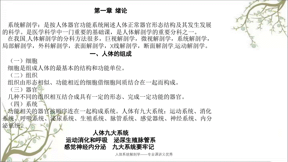 人体系统解剖学专业课讲义优秀_第3页