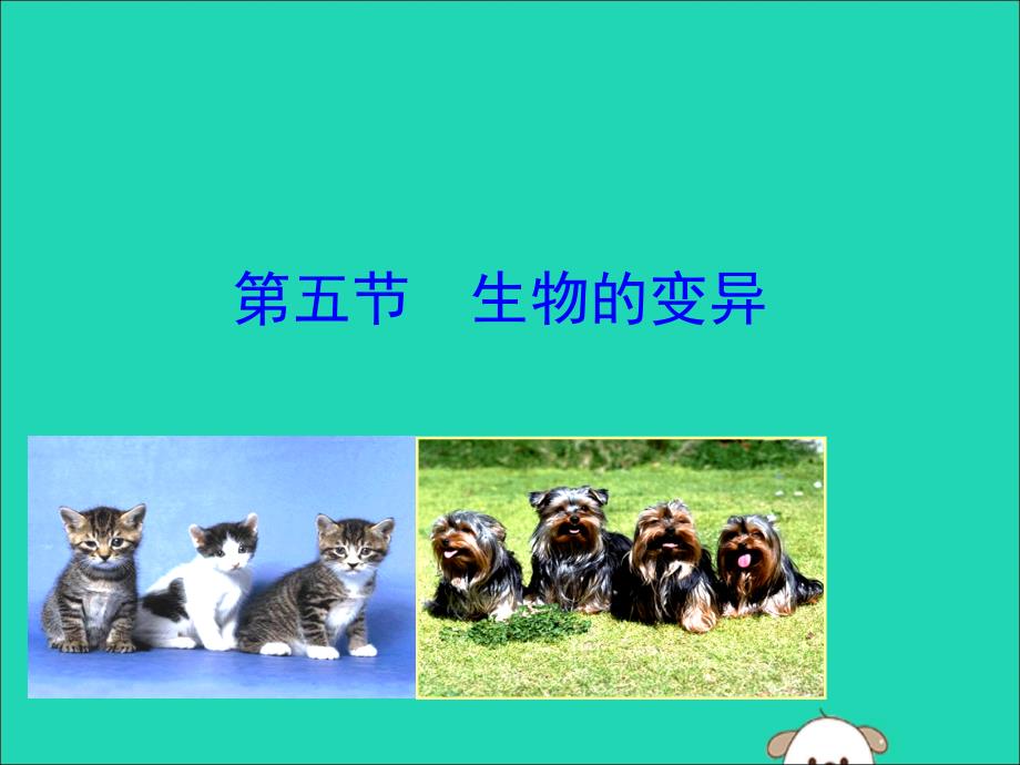 最新八年级生物下册第七单元生物圈中生命的延续和发展第二章生物的遗传和变异第五节生物的变异教学_第1页