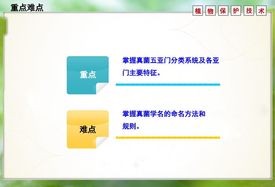 理解真菌五亚门分类系统及各亚门主要特征掌握真菌学名的命名方法_第3页