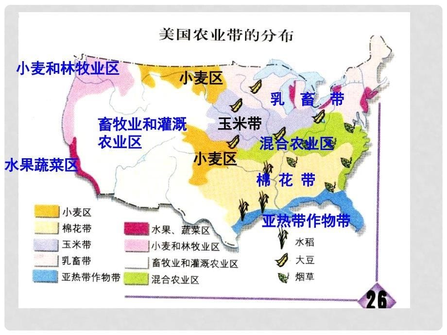 辽宁省沈阳市第二十一中学七年级地理下册《美国》课件 新人教版_第5页